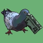 p29_b9d1eb3b.jpg