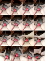 img_2.png
